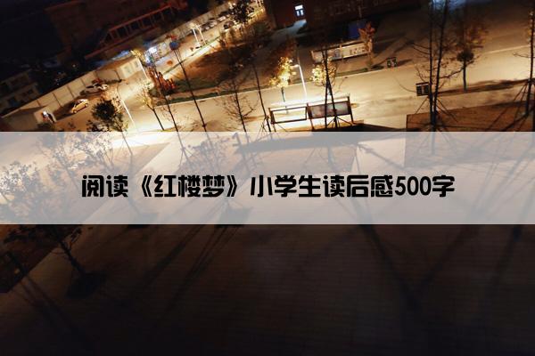 阅读《红楼梦》小学生读后感500字