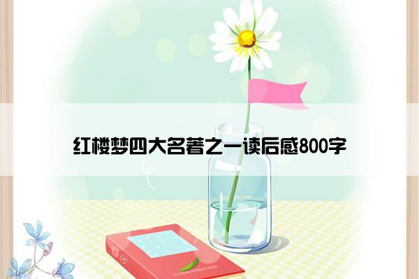 红楼梦四大名著之一读后感800字