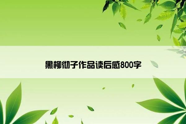 黑柳彻子作品读后感800字