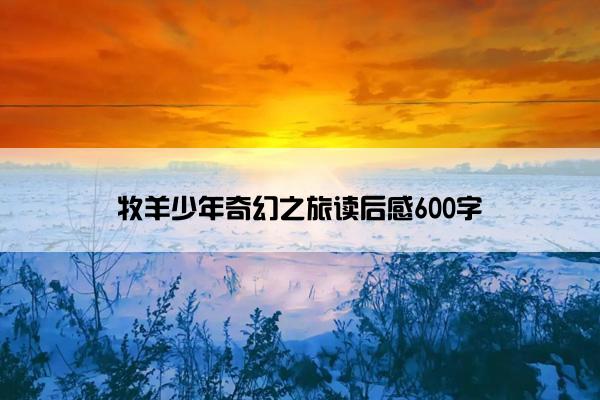 牧羊少年奇幻之旅读后感600字
