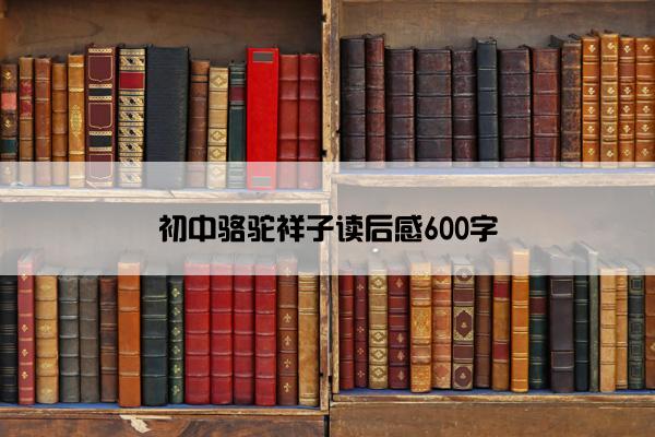 初中骆驼祥子读后感600字