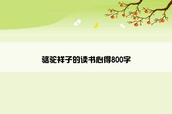 骆驼祥子的读书心得800字