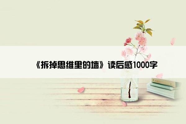 《拆掉思维里的墙》读后感1000字
