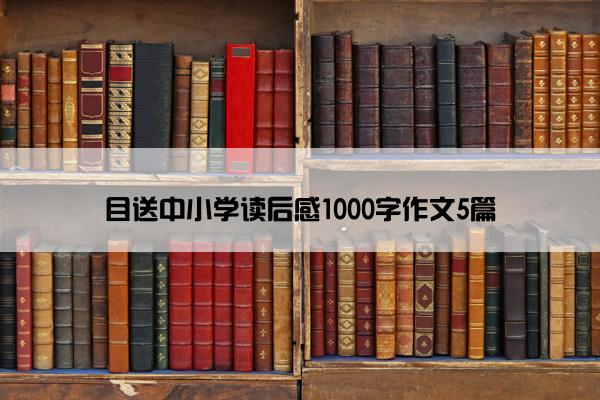 目送中小学读后感1000字作文5篇