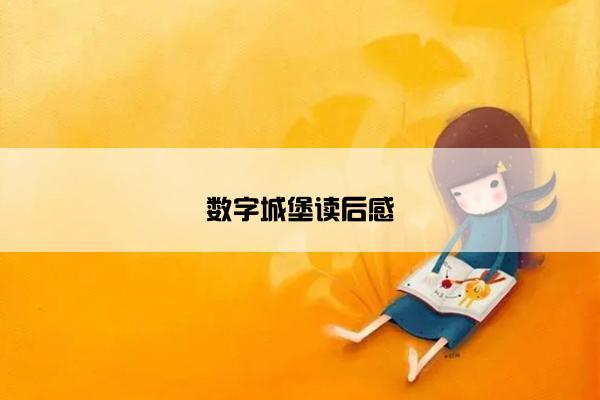 数字城堡读后感