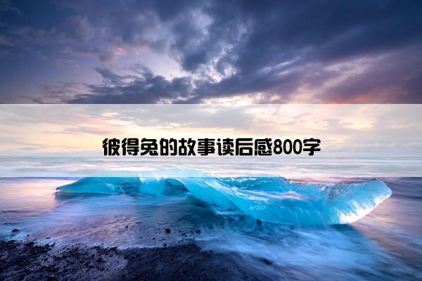 彼得兔的故事读后感800字