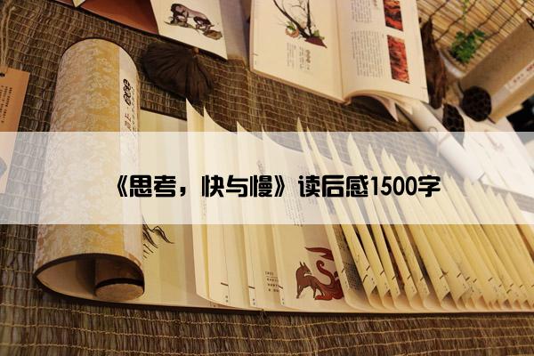 《思考，快与慢》读后感1500字