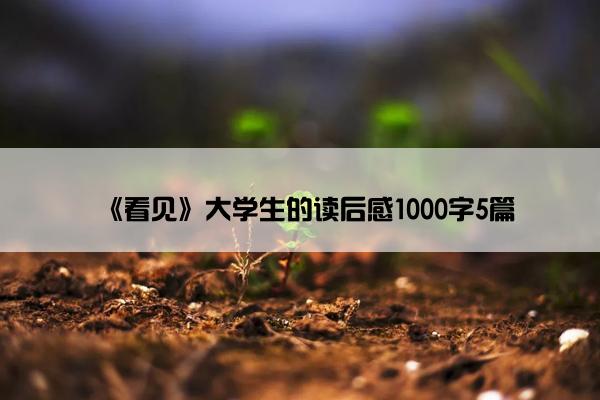 《看见》大学生的读后感1000字5篇