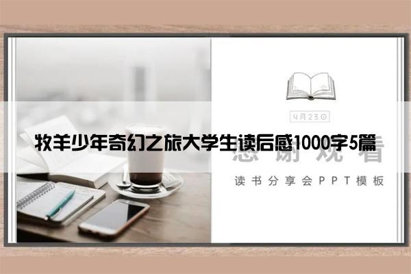 牧羊少年奇幻之旅大学生读后感1000字5篇