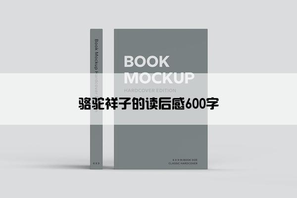 骆驼祥子的读后感600字