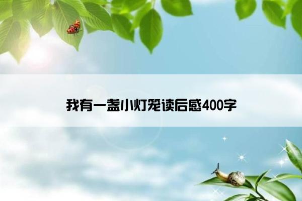 我有一盏小灯笼读后感400字