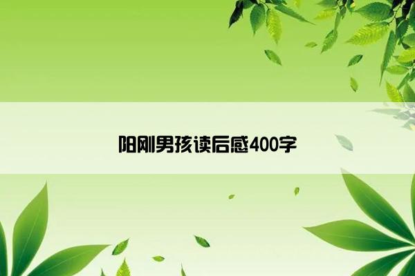 阳刚男孩读后感400字