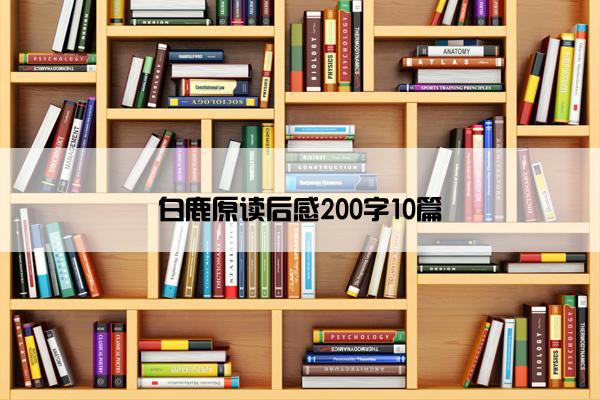 白鹿原读后感200字10篇