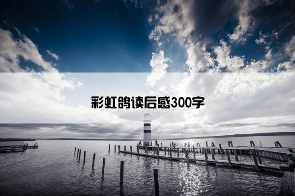 彩虹鸽读后感300字