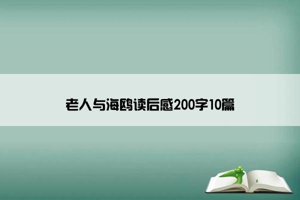 老人与海鸥读后感200字10篇
