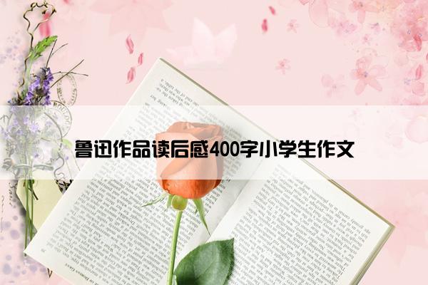 鲁迅作品读后感400字小学生作文