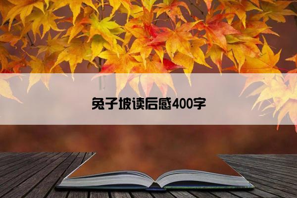 兔子坡读后感400字
