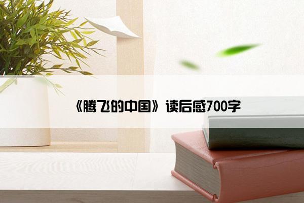 《腾飞的中国》读后感700字