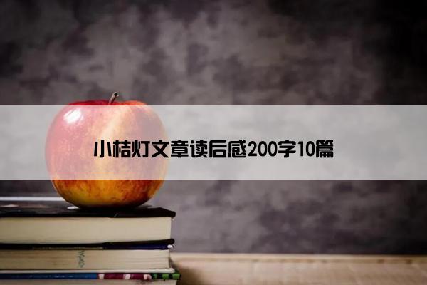 小桔灯文章读后感200字10篇