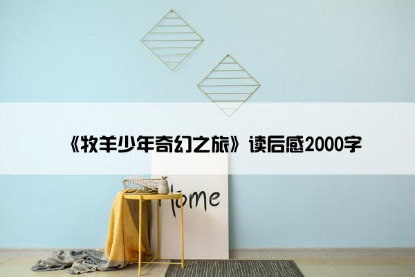 《牧羊少年奇幻之旅》读后感2000字