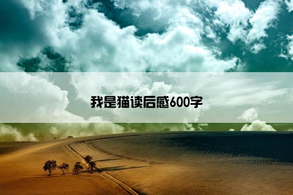 我是猫读后感600字