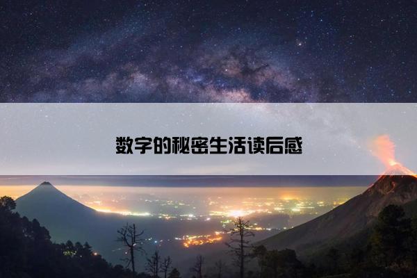 数字的秘密生活读后感