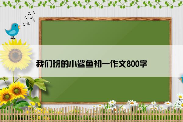 我们班的小鲨鱼初一作文800字