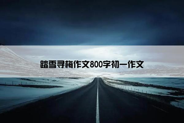 踏雪寻梅作文800字初一作文
