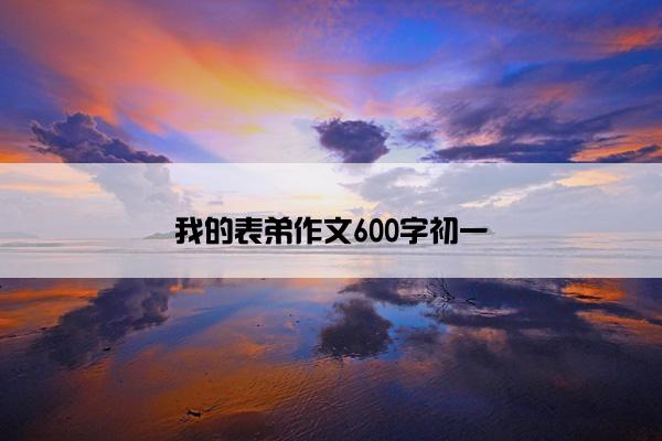 我的表弟作文600字初一