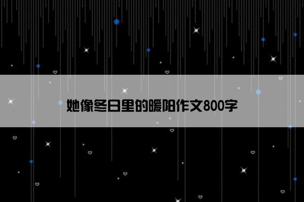 她像冬日里的暖阳作文800字