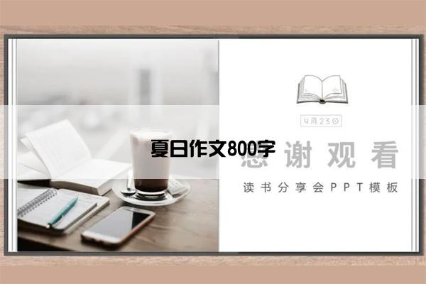 夏日作文800字