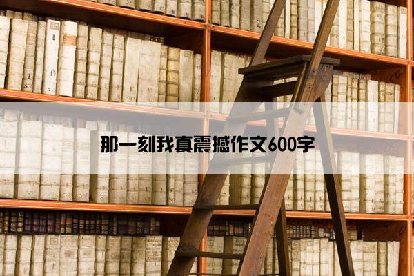 那一刻我真震撼作文600字