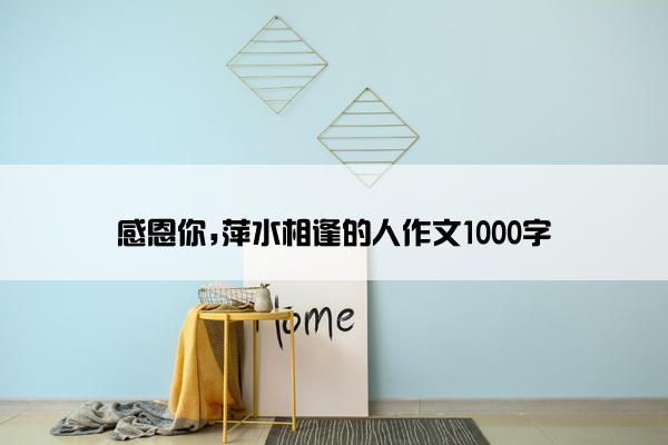 感恩你,萍水相逢的人作文1000字