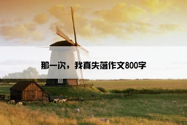 那一次，我真失落作文800字