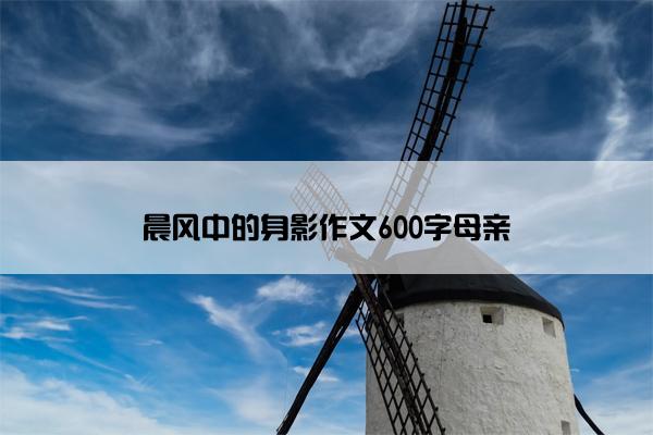 晨风中的身影作文600字母亲