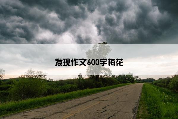 发现作文600字梅花