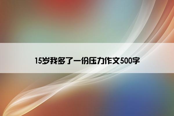 15岁我多了一份压力作文500字