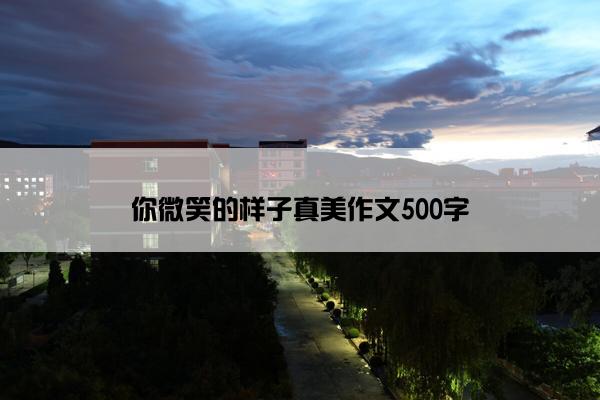 你微笑的样子真美作文500字
