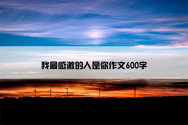 我最感激的人是你作文600字