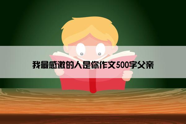 我最感激的人是你作文500字父亲