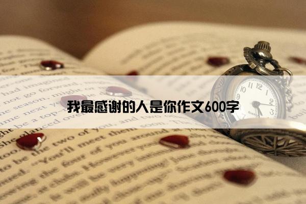 我最感谢的人是你作文600字