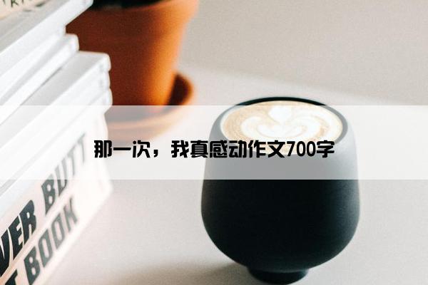 那一次，我真感动作文700字