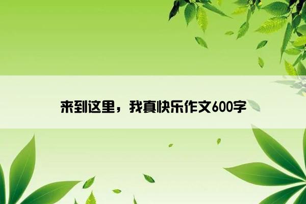 来到这里，我真快乐作文600字