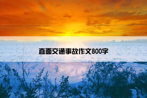 直面交通事故作文800字