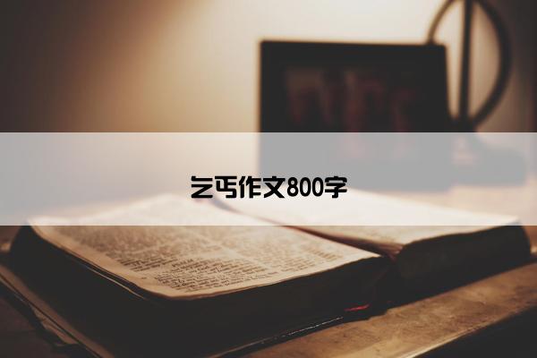 乞丐作文800字