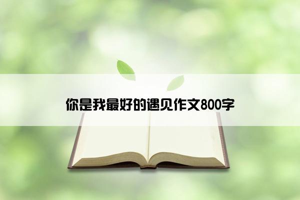 你是我最好的遇见作文800字