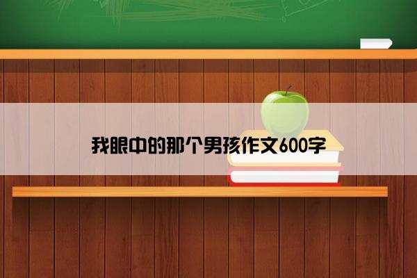 我眼中的那个男孩作文600字
