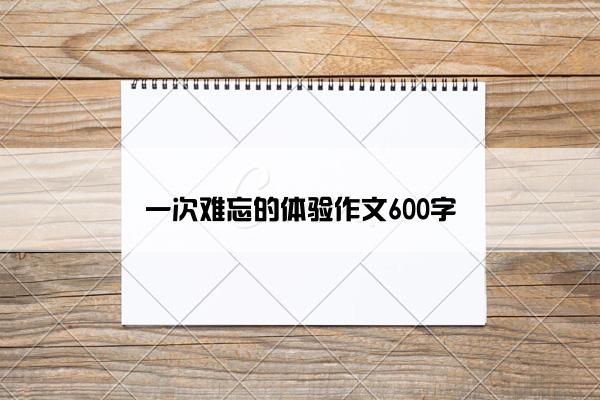 一次难忘的体验作文600字