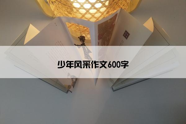 少年风采作文600字