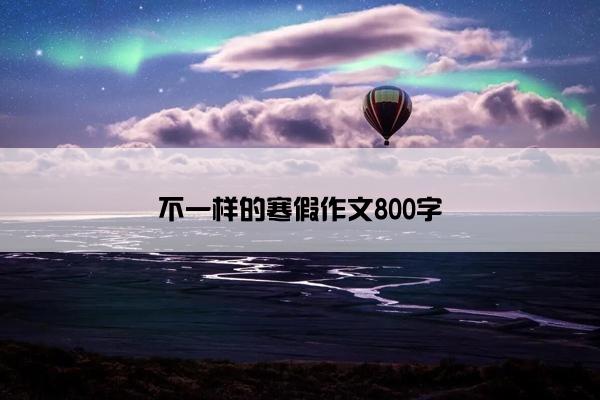 不一样的寒假作文800字
